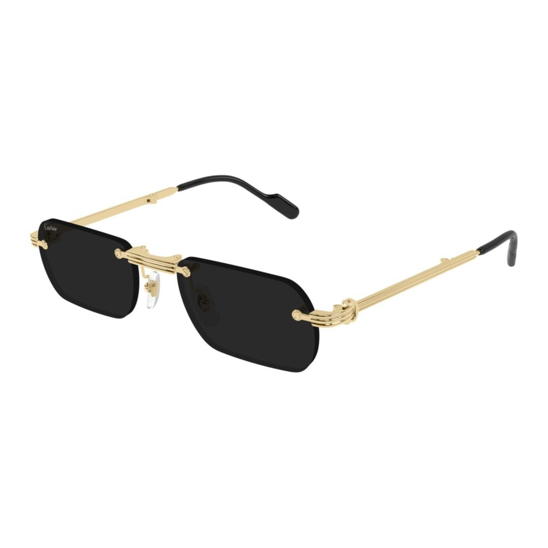 Cartier Gold Ct0499s Rectangular Frame Sunglasses