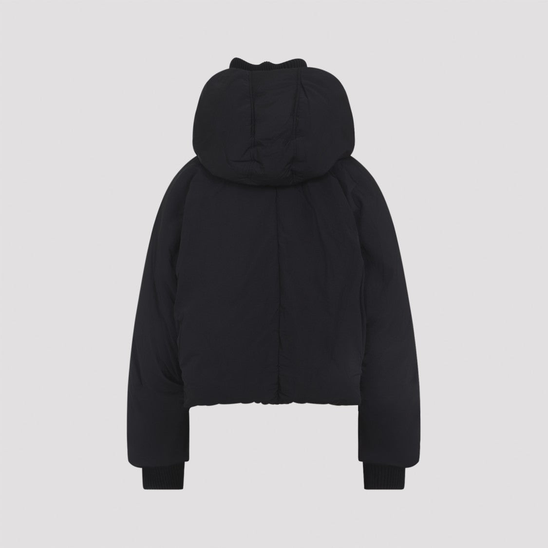 Sportmax Glizia Down Jacket