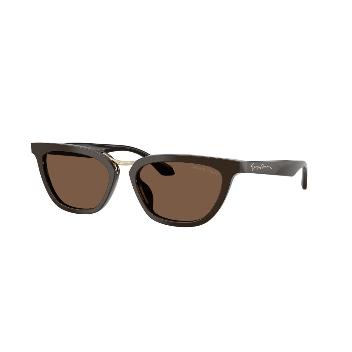 Giorgio Armani 0Ar8253u Angular Acetate Sunglasses With Gold Metal Bridge