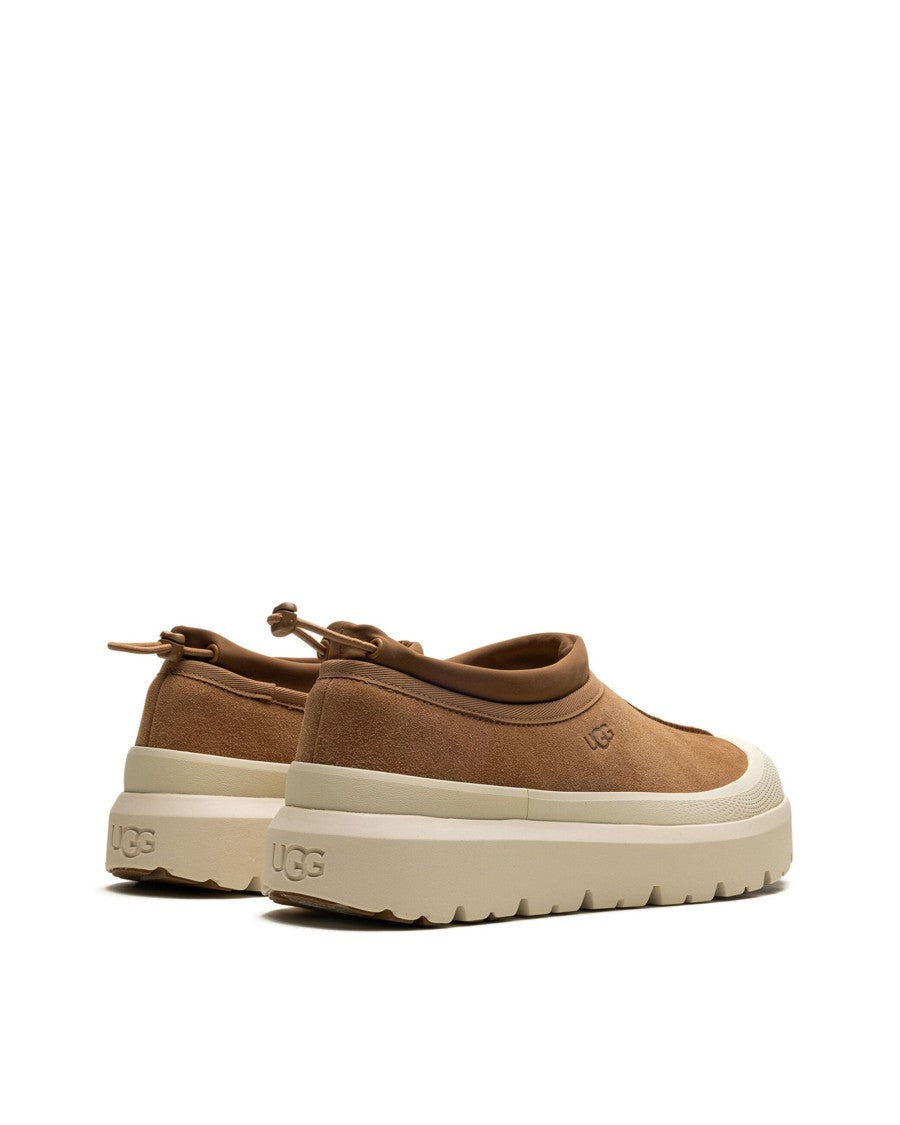 Ugg M's Tasman Weather Hybrid Sneakers In Chestnut/Whitecap