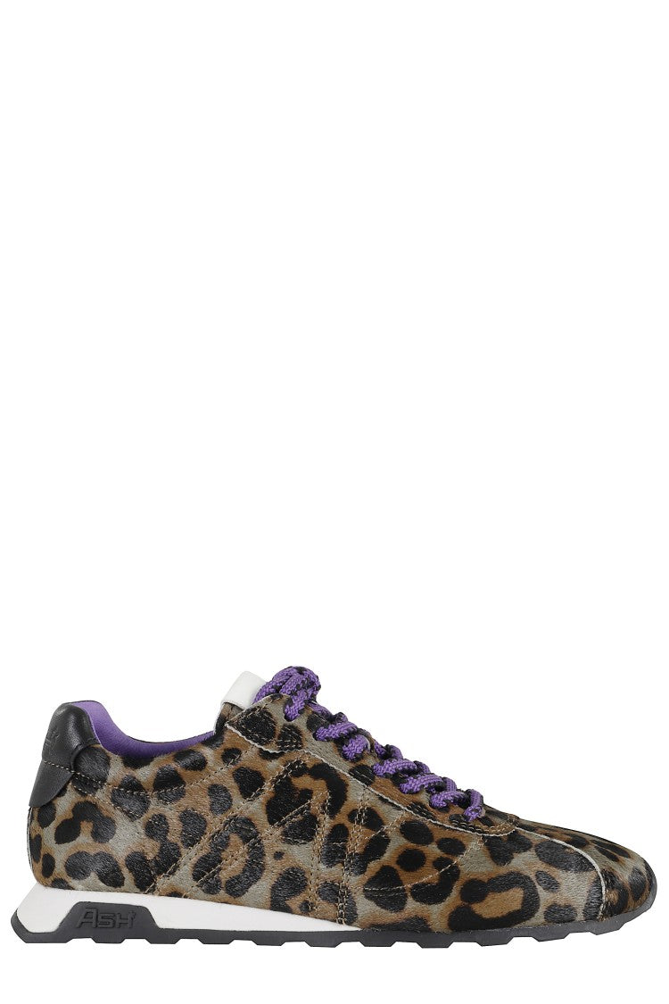 Ash Pony Leopard Print Sneakers