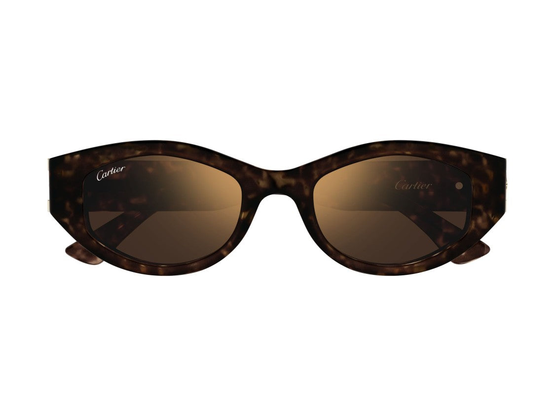 Cartier Tortoiseshell Ct0667s Bold Oversized Cat-Eye Sunglasses