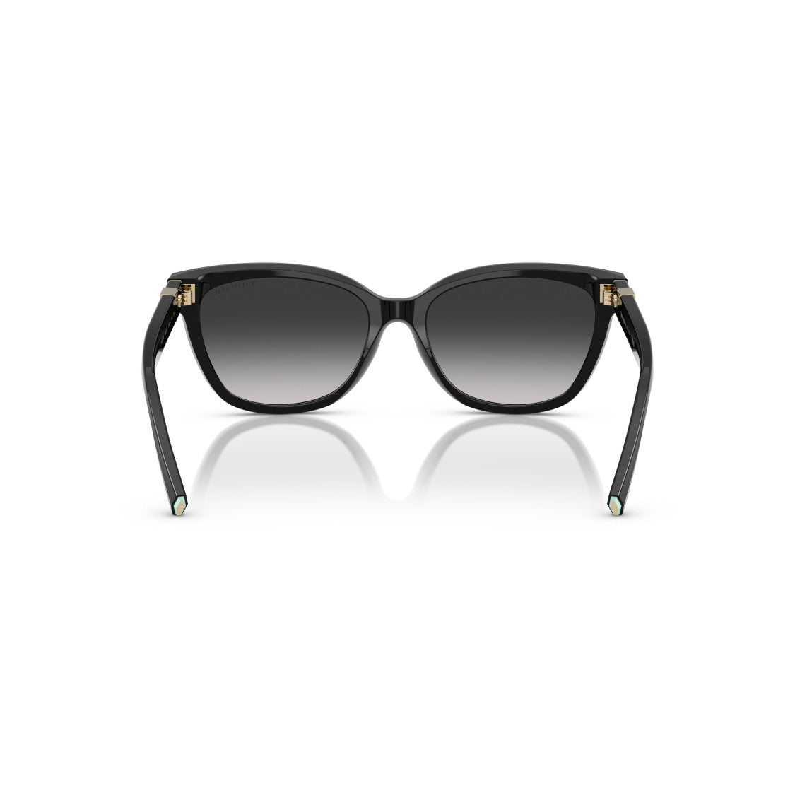 Tiffany & Co. 0Tf4237b Oversized Square Frame Sunglasses