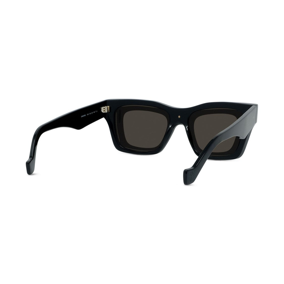 Loewe Lw40169i Bold Rectangular Acetate Sunglasses