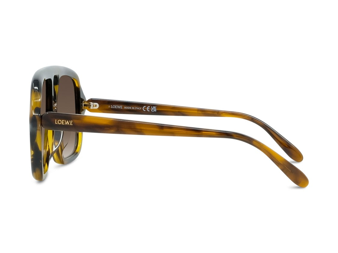 Loewe Tortoiseshell Lw40161u Oversized Square Acetate Sunglasses