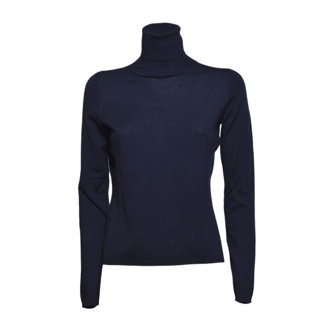 Max Mara Blue Cashmere Veloce Turtleneck
