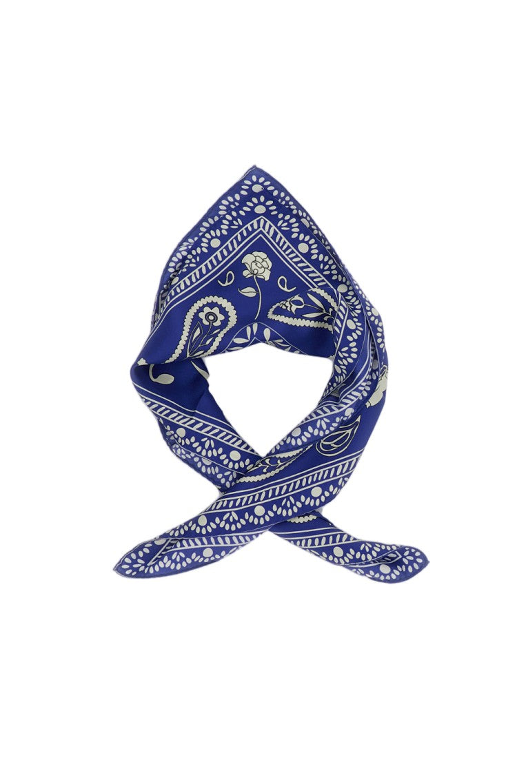 Alberto Biani Double-Sided Graphic Print Silk Foulard