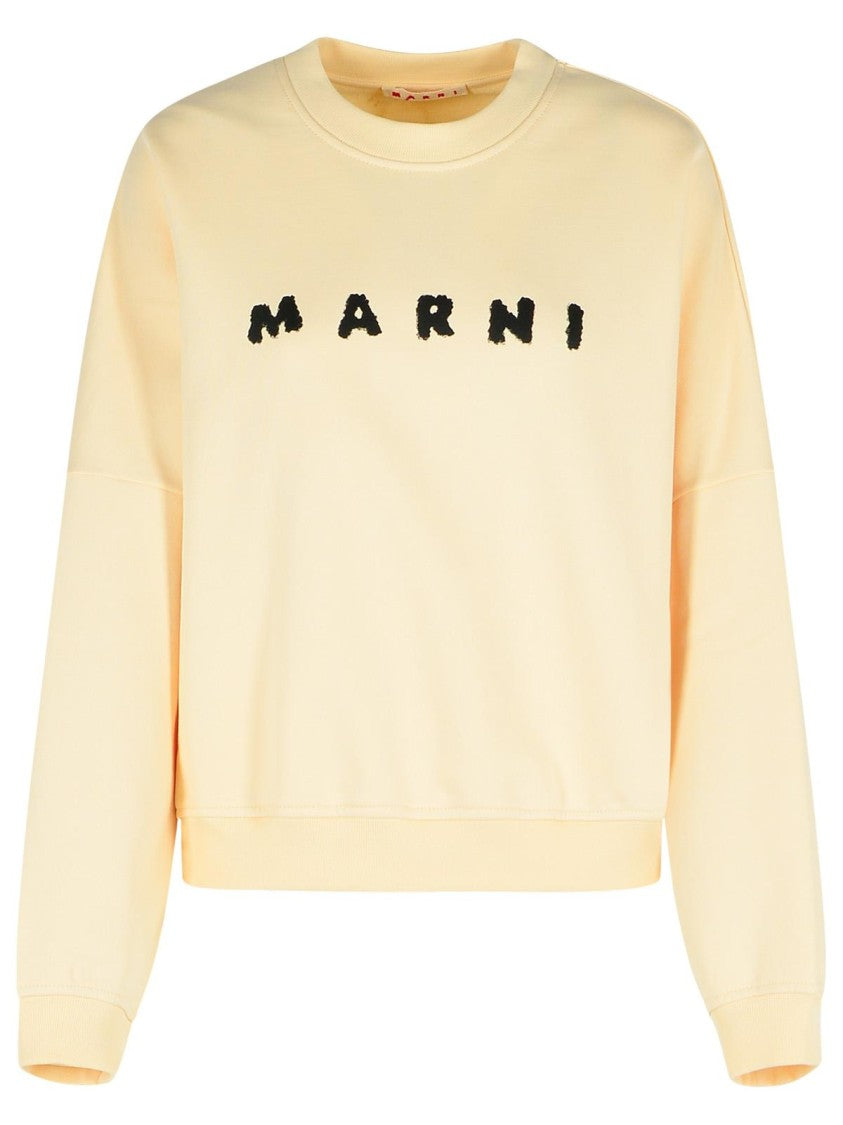 Marni Ivory Cotton Sweatshirt
