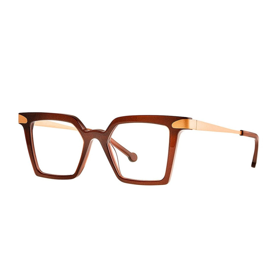 Theo Eyewear Fairy Brown Duo Acetate Square Sunglasses