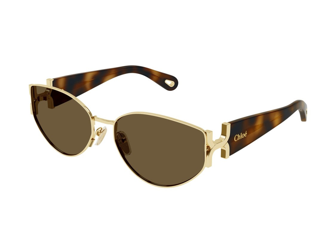 Chloé Ch0260s Tortoiseshell Bold Cat-Eye Sunglasses