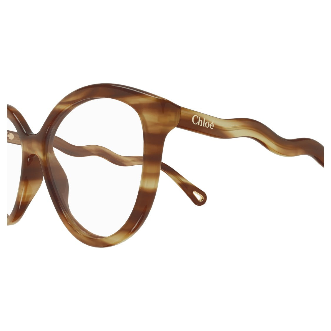 Chloé Ch0089o Rounded Tortoiseshell Frame Eyeglasses