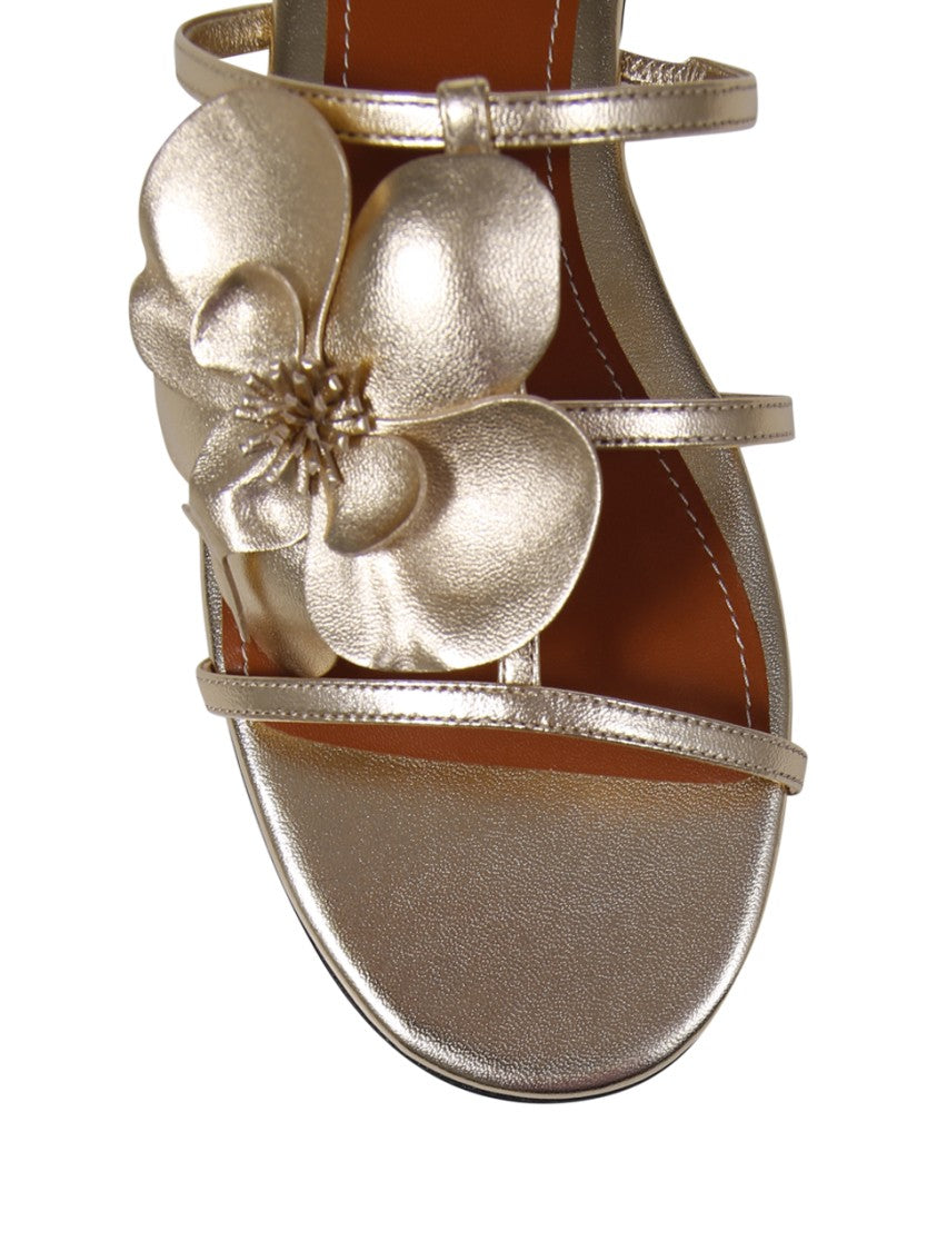 Zimmermann Orchid Slide