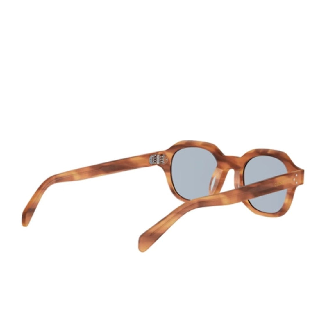 Celine Havana Three Dots Acetate Phantos Sunglasses
