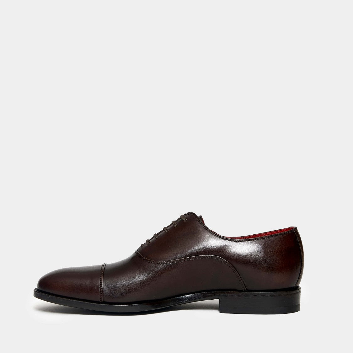 Ortigni Dark Brown Leather Lace-Up