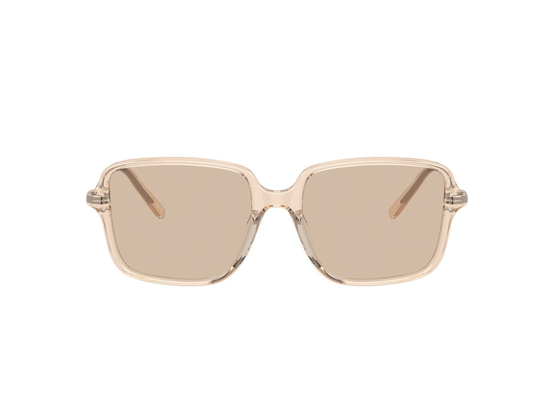 Brunello Cucinelli 0Bc3001 Translucent Acetate Oversized Square Sunglasses