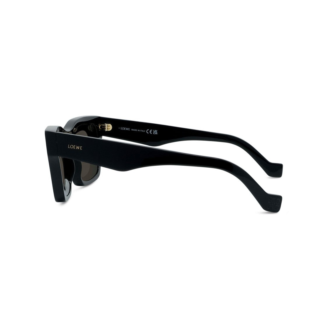 Loewe Lw40169i Bold Rectangular Acetate Sunglasses