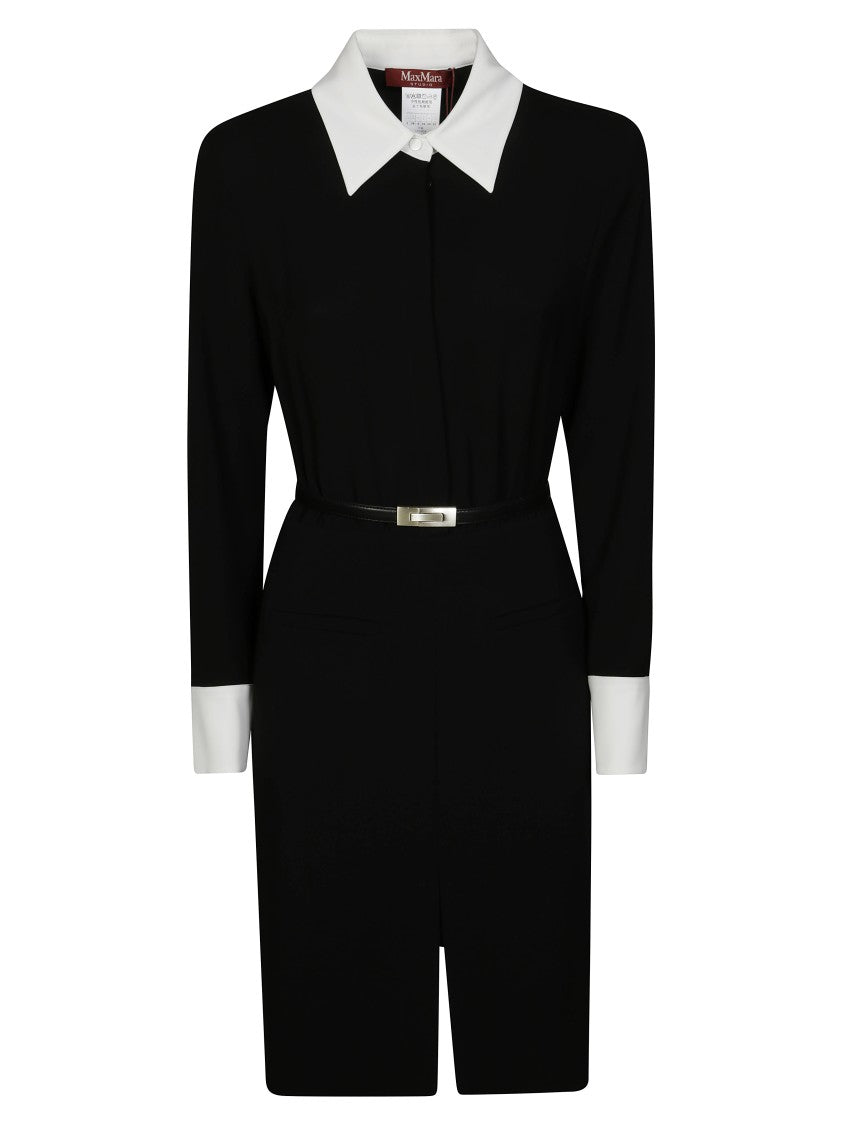 Max Mara Dinar Dress