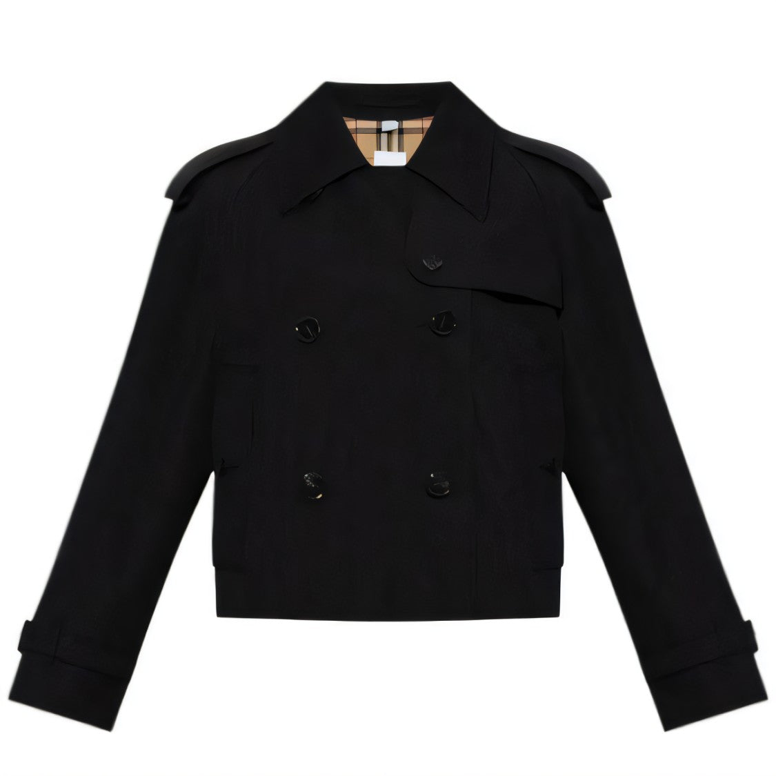 Burberry Double-Breasted Burberry Jacket With Check Pattern Lining