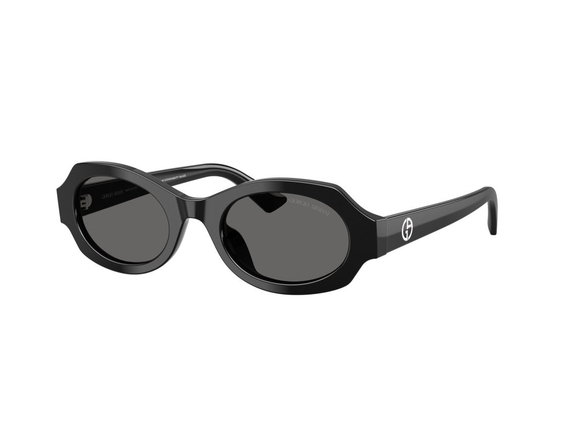 Giorgio Armani 0Ar8245hu Glossy Acetate Oversized Round Sunglasses