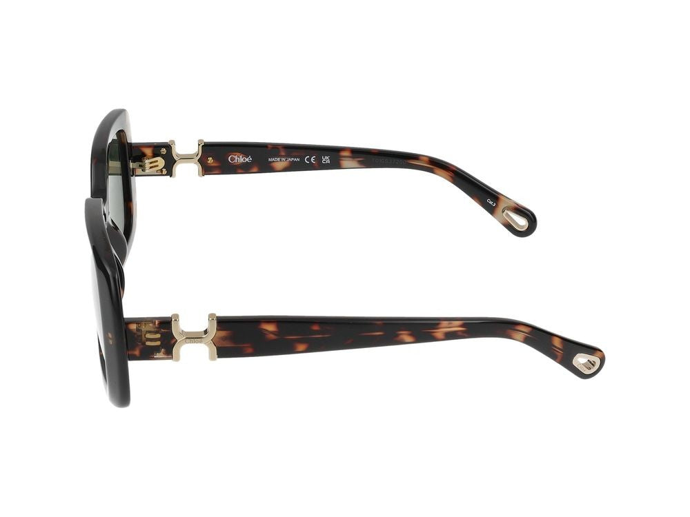 Chloé Havana Ch0333s Acetate Oversized Square Sunglasses