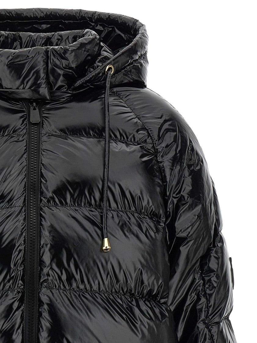 Pinko 'Burro' Down Jacket