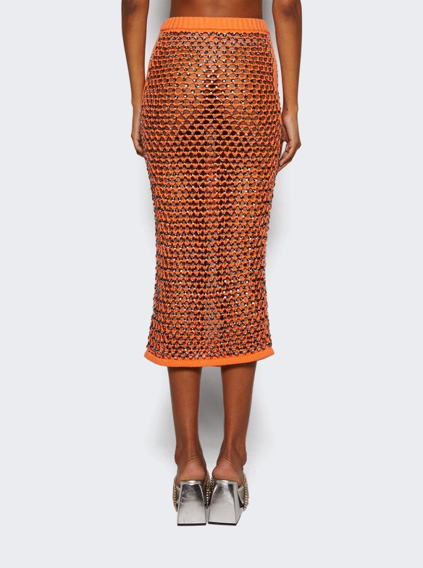 Diotima Spice Skirt In Crystal Mesh