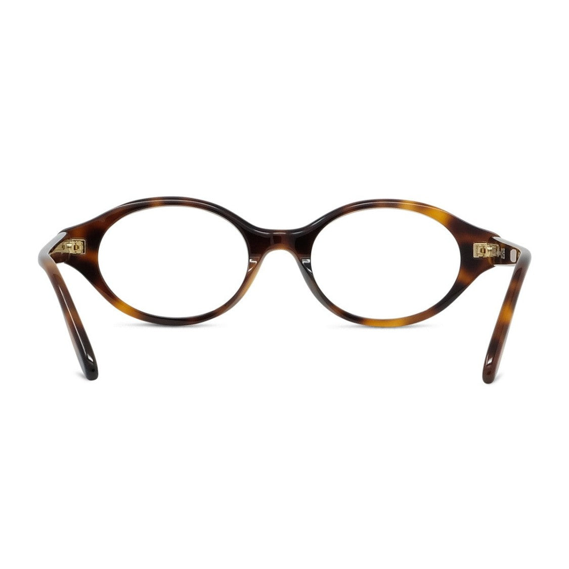 Loewe Havana Slim Acetate Oval Sunglasses