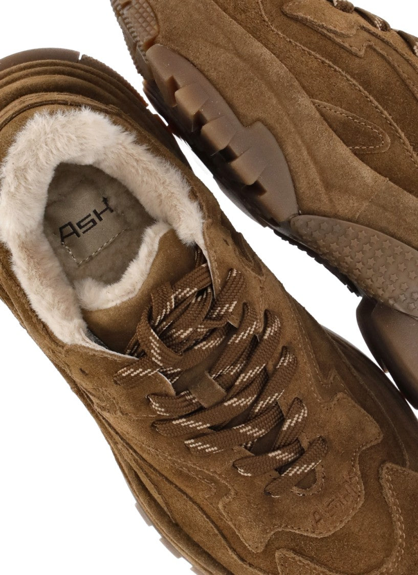 Ash Brown Addict Shearling Suede Sneakers