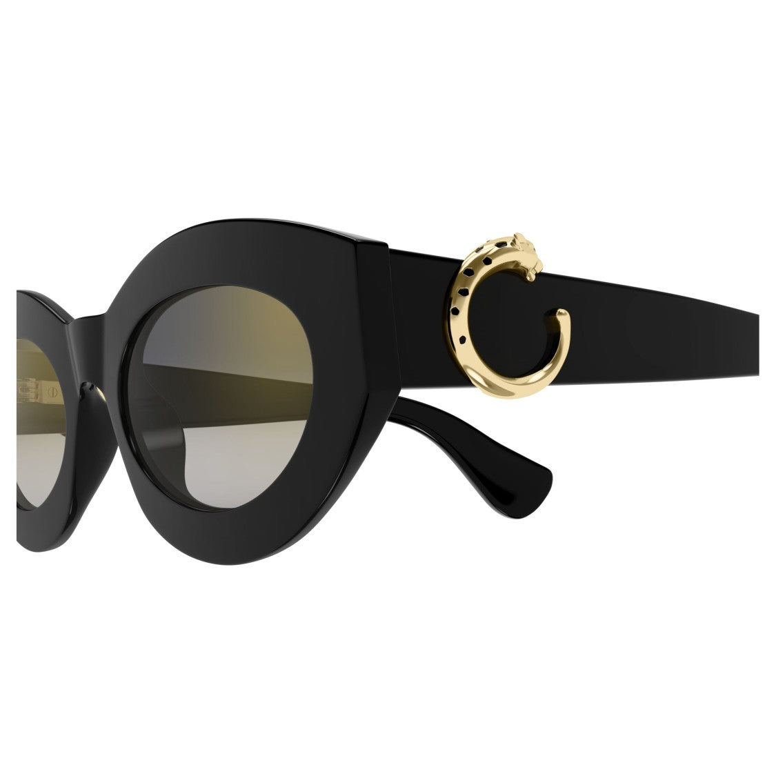 Cartier Ct0638s Cat-Eye Sunglasses With Gold-Tone Embellishments