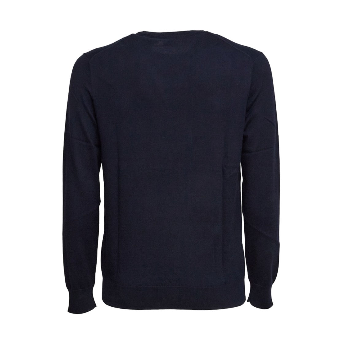 Polo Ralph Lauren Blue Slim Fit Cotton Embroidered Sweater