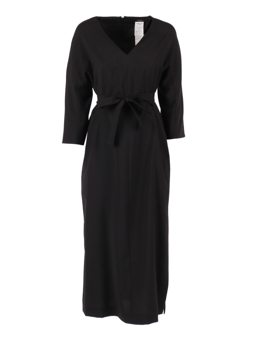 Max Mara Lazial Dress