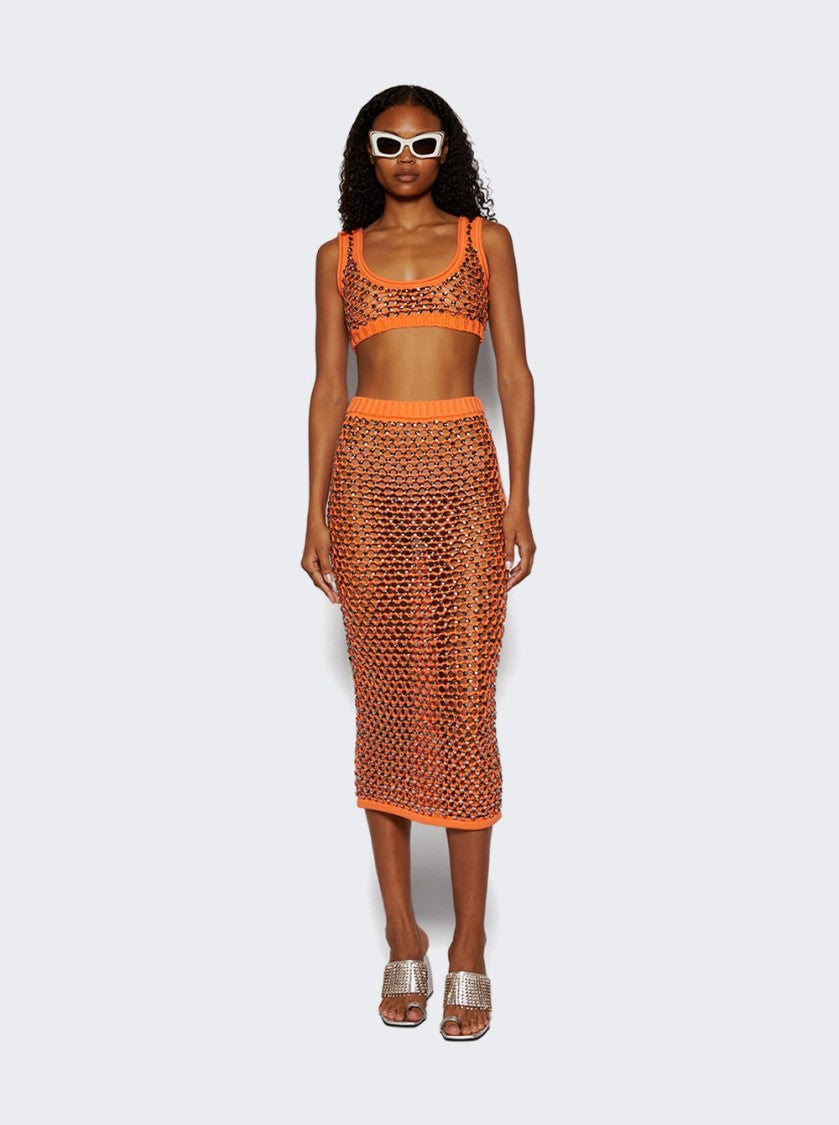 Diotima Spice Skirt In Crystal Mesh