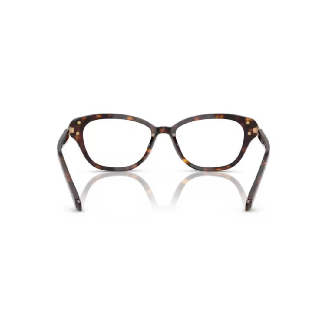 Swarovski 0Sk2032 Cat-Eye Tortoiseshell Acetate Sunglasses
