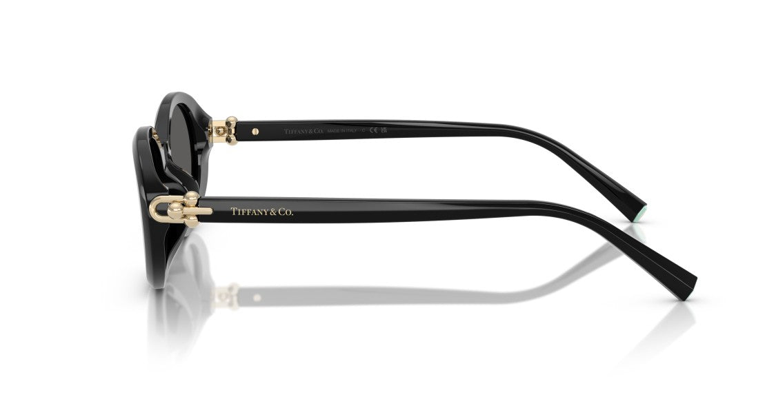 Tiffany & Co. 0Tf4242d Large Round Black Acetate Sunglasses