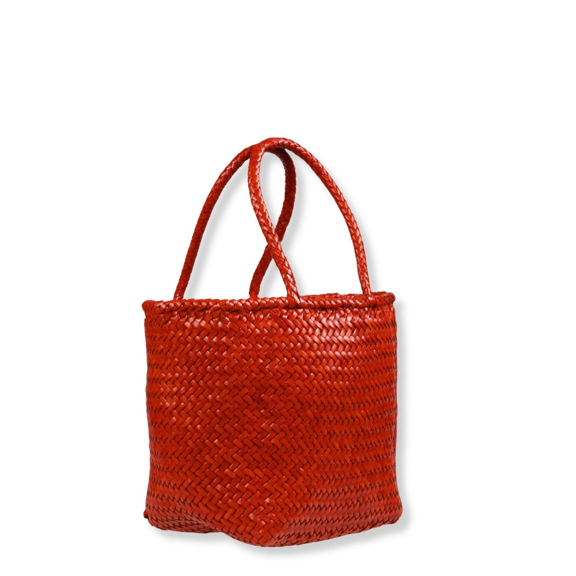 Dragon Diffusion Structured Handbag With Refined Silhouette