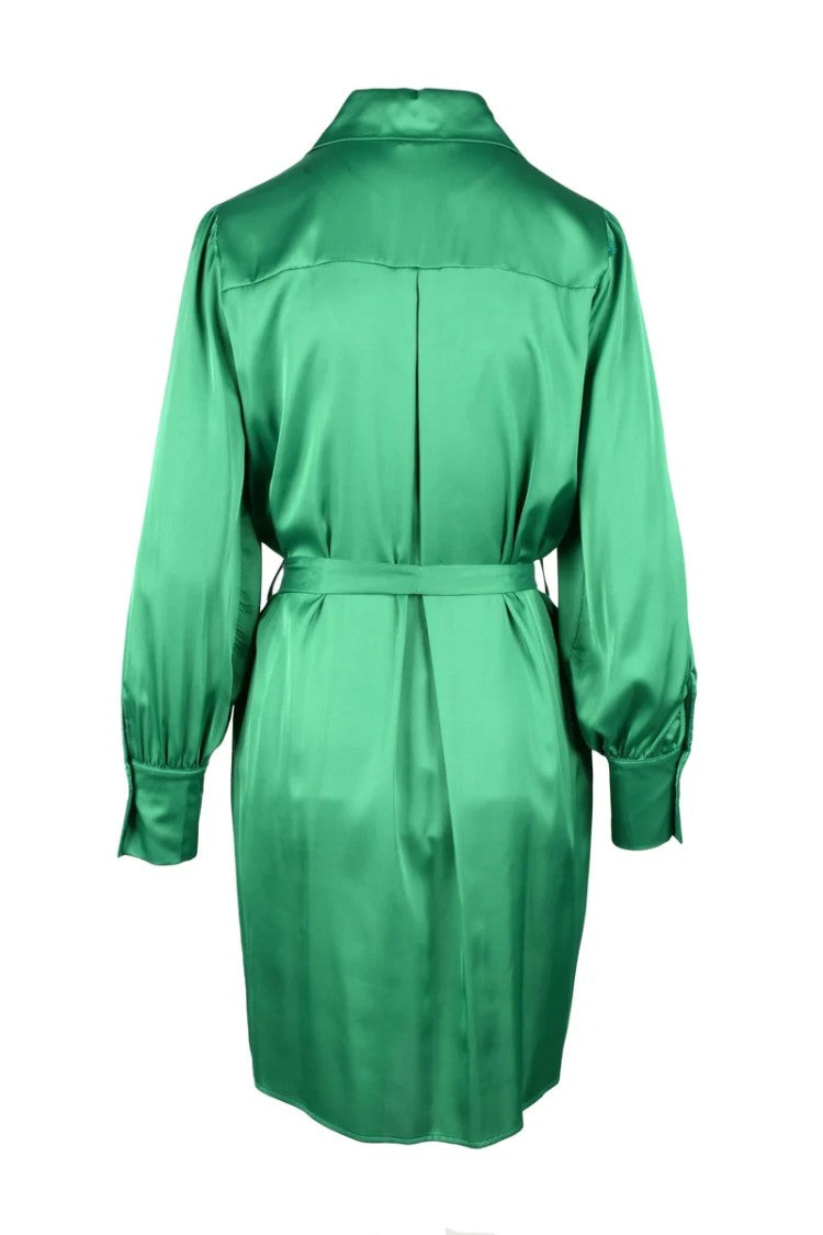 Think Green Polyester Dress