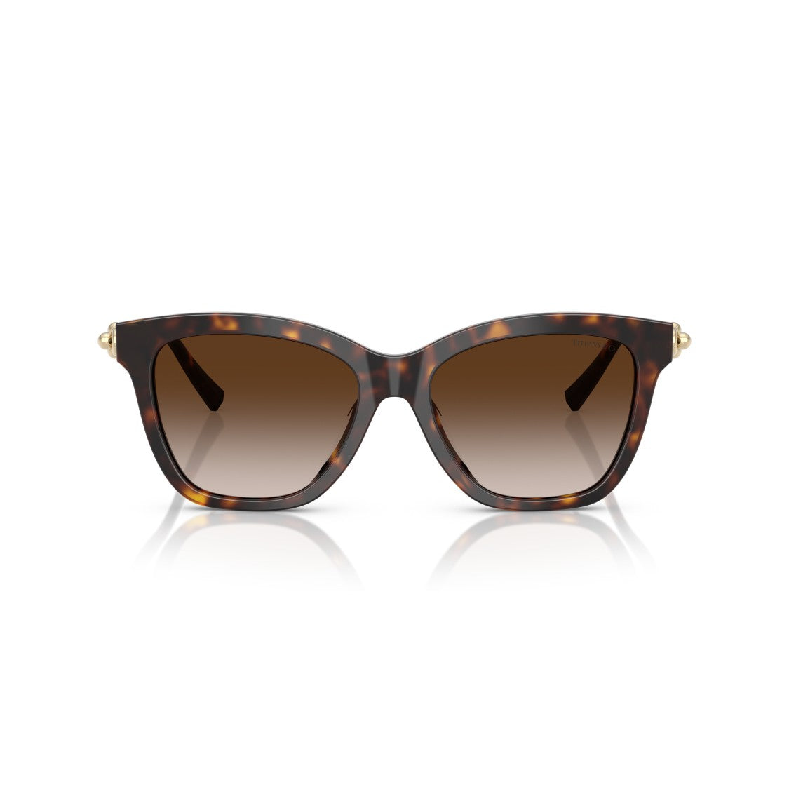 Tiffany & Co. 0Tf4241d Oversized Square Frame Tortoiseshell Sunglasses