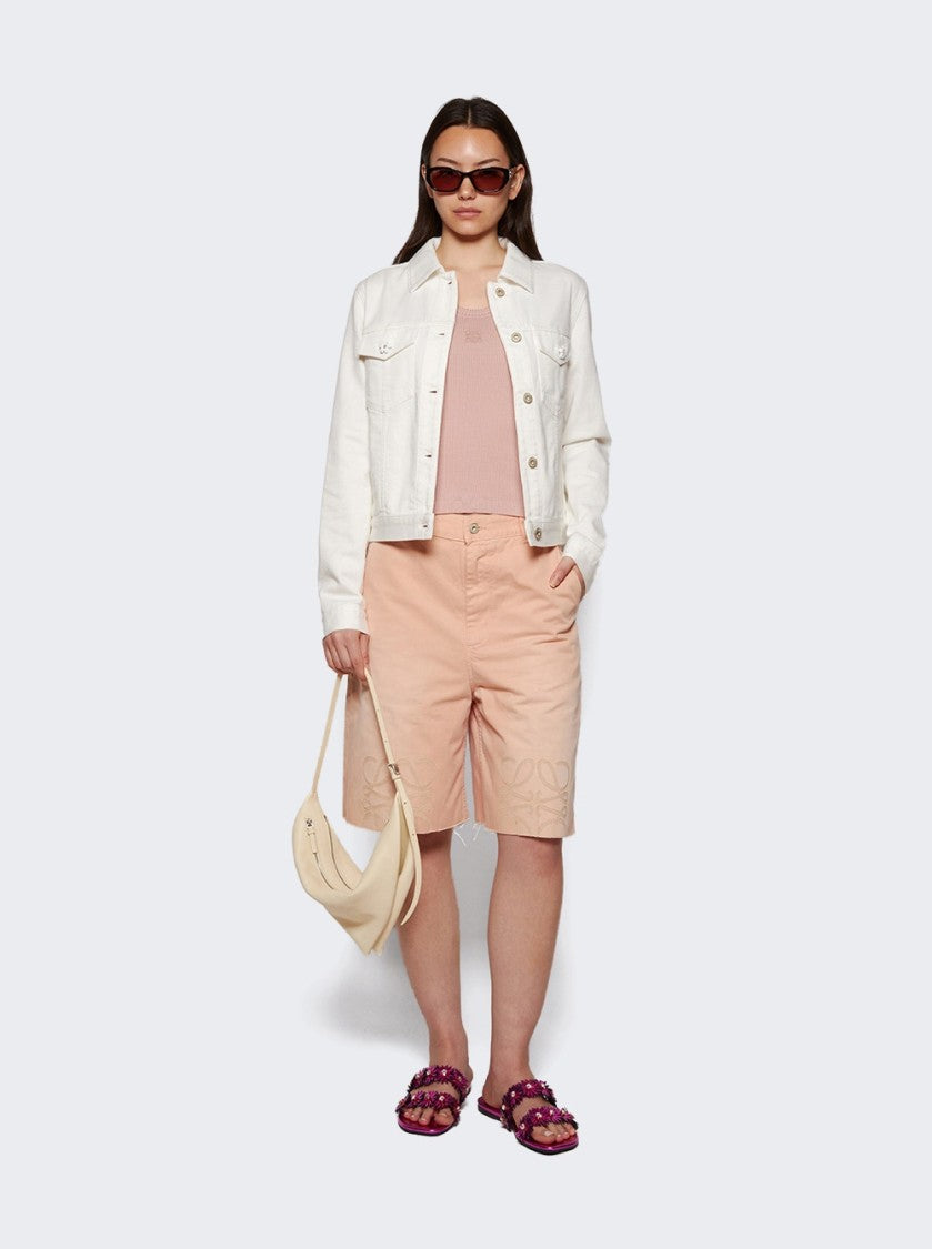 Proenza Schouler Tetra Shoulder Bag In Nappa Leather Resin