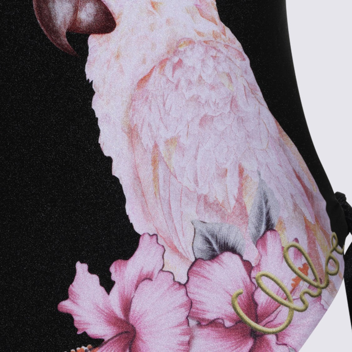 Chloé One-Piece Swimsuit With Tropical Parrot Print