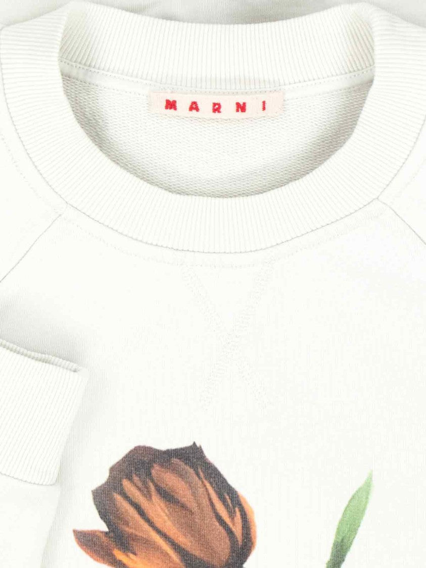 Marni Logo Crewneck Sweatshirt – Cream