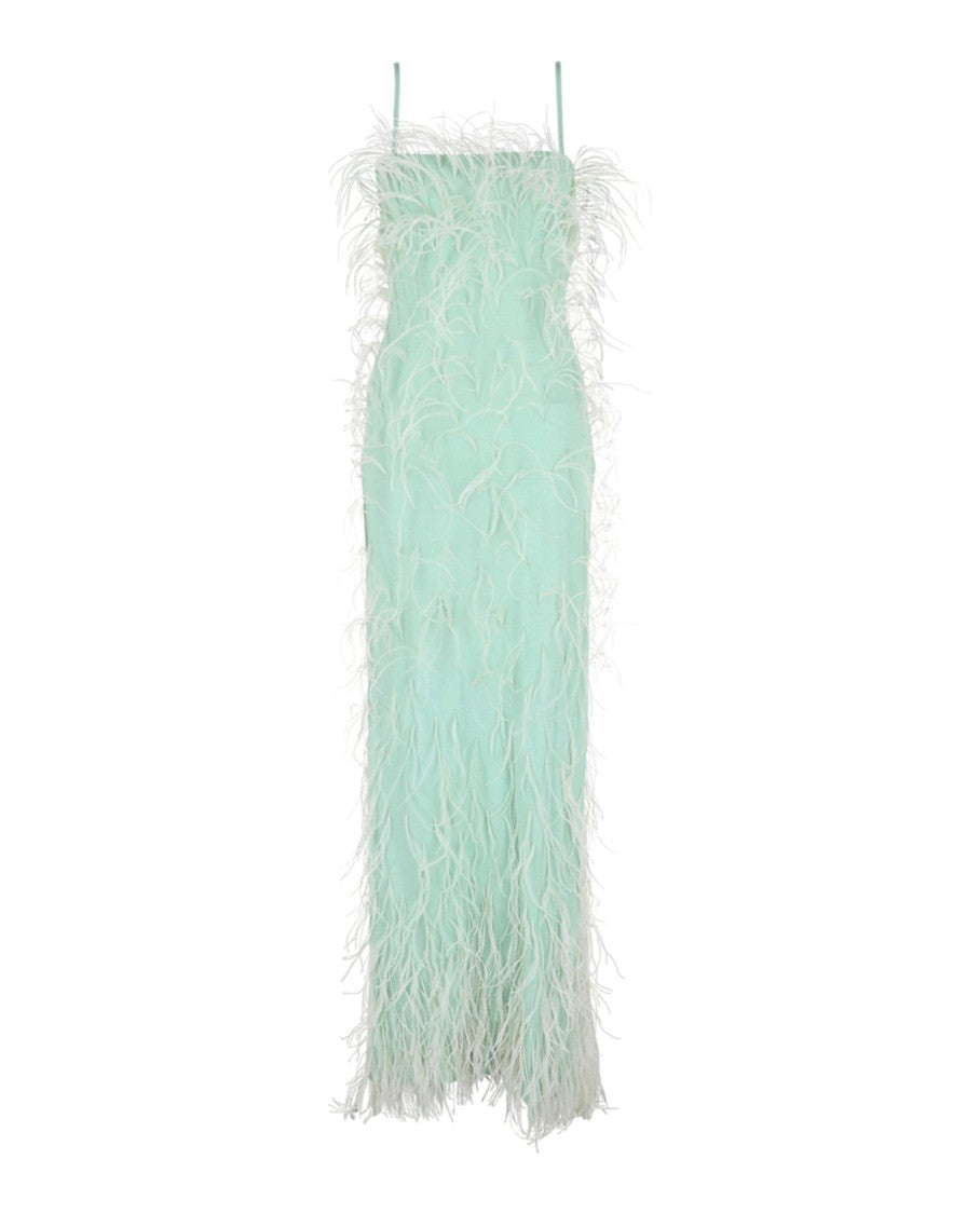 Givenchy Embroidered Feather Column Gown