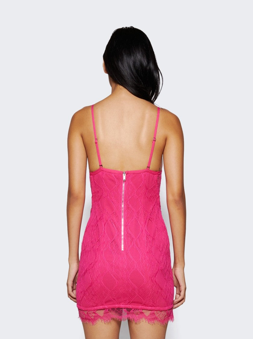Dion Lee Oblique Lace Corset Dress