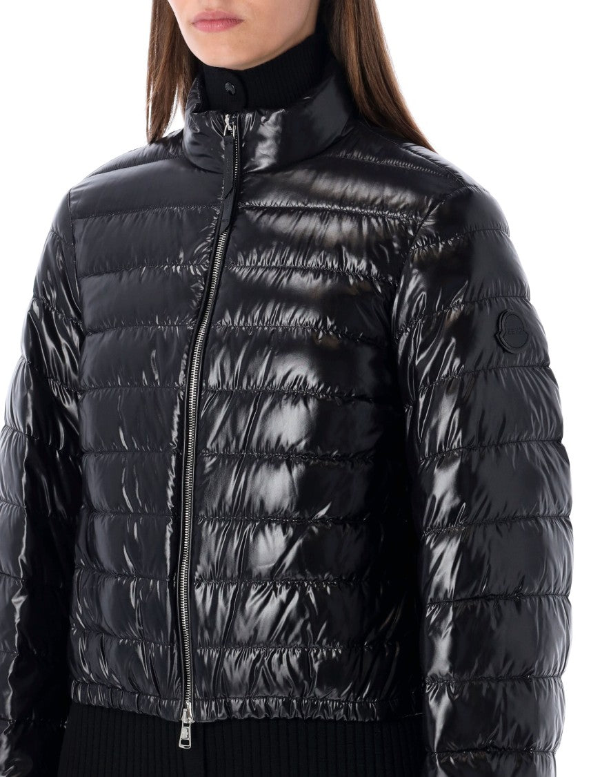 Moncler X Edward Enninful Knut Short Glossy Down Jacket