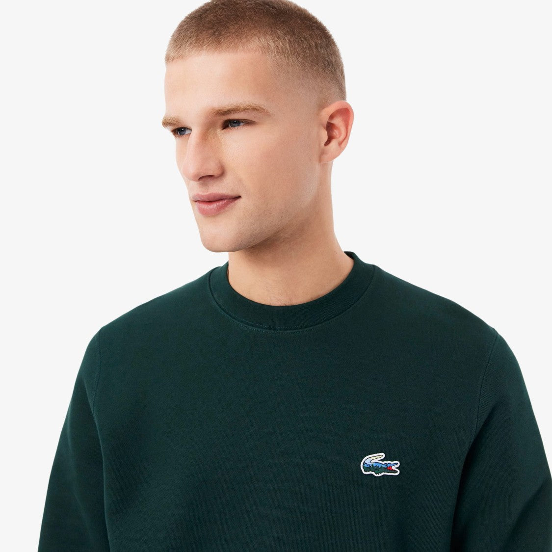 Lacoste Crocodile Landscape Print Sweatshirt