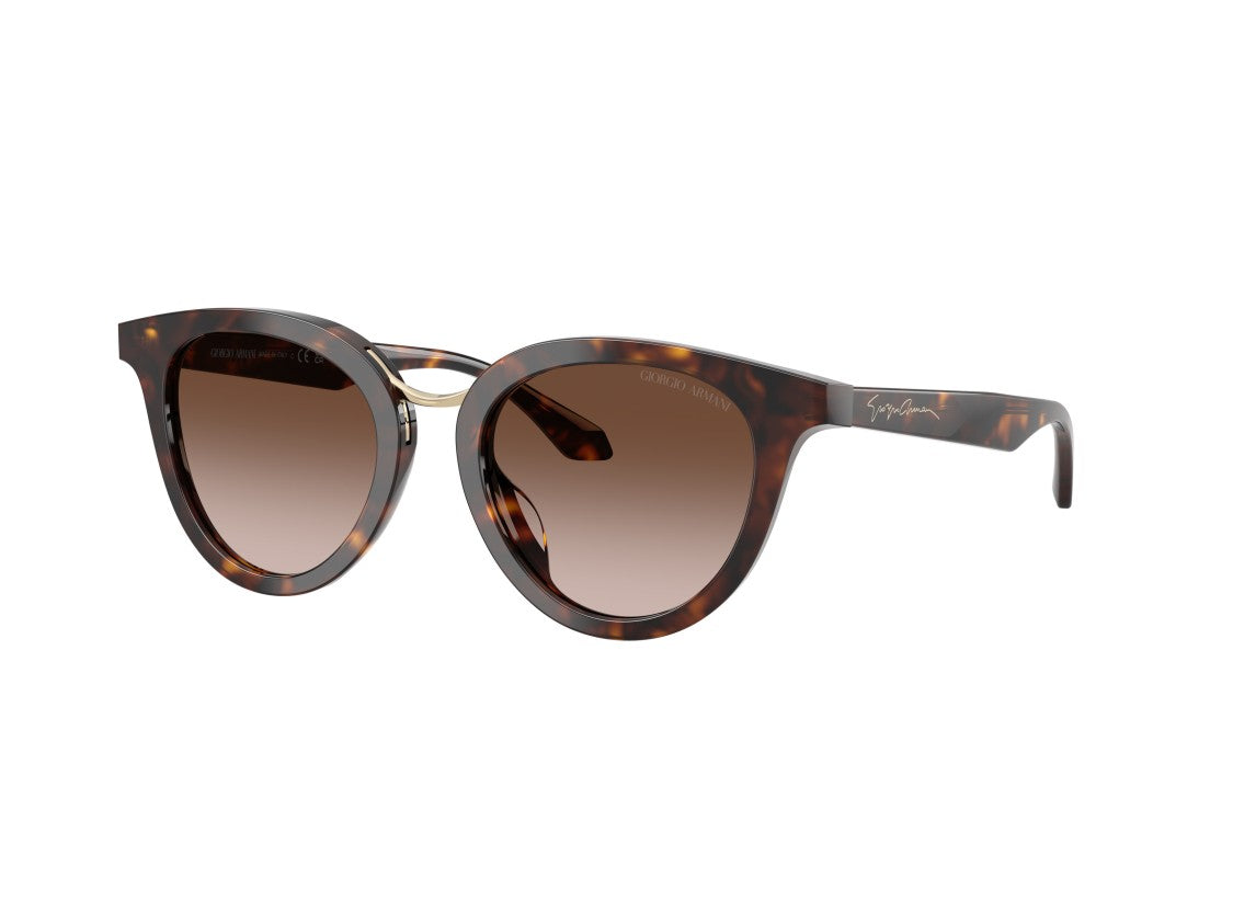 Giorgio Armani Gold 0Ar8252u Tortoiseshell Cat-Eye Sunglasses