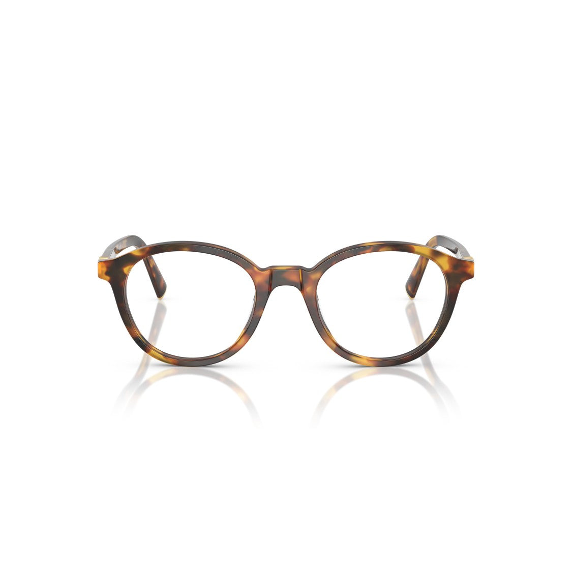Miu Miu 0Mu 02Wv Round Acetate Eyeglasses