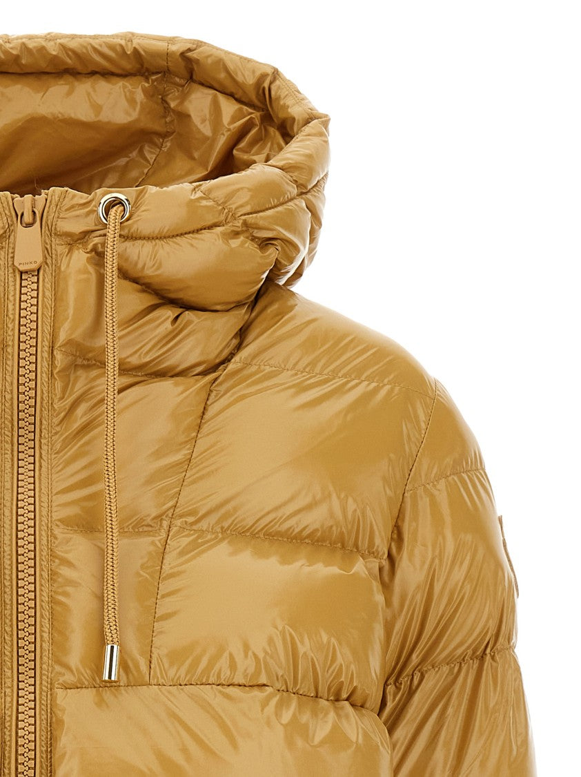 Pinko Eleodoro' Down Jacket