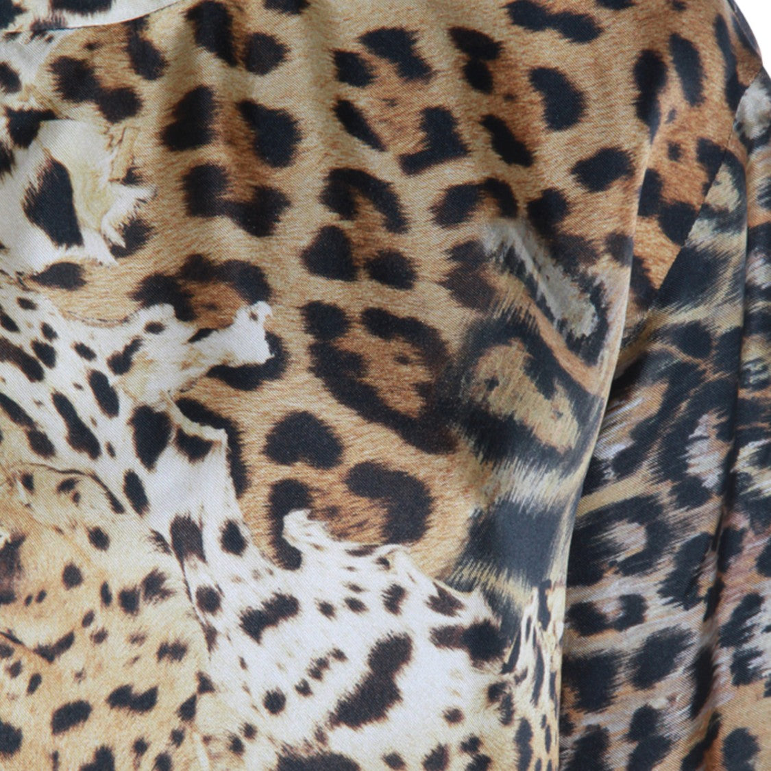 Roberto Cavalli Leopard Print Top With Relaxed Fit