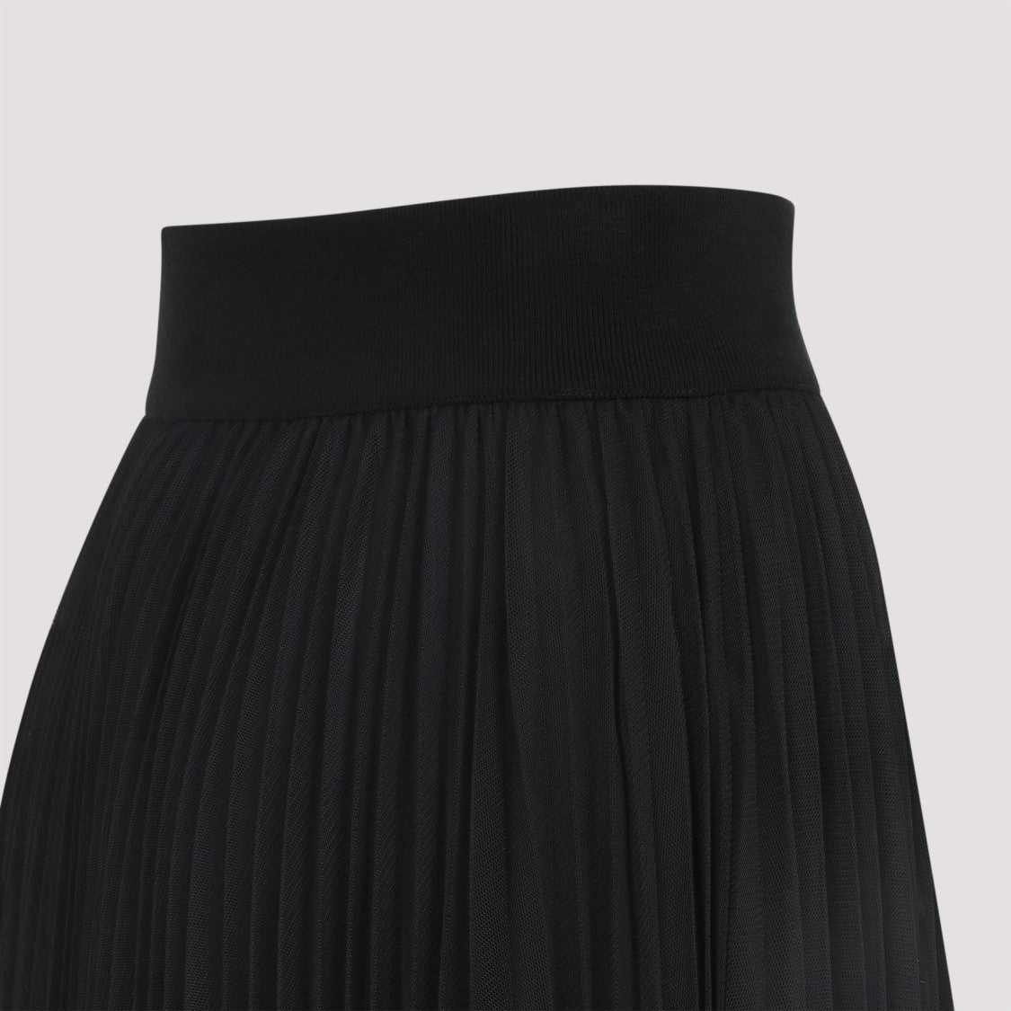 Fabiana Filippi Pleated Maxi Skirt With Sheer Overlay And High Waistband