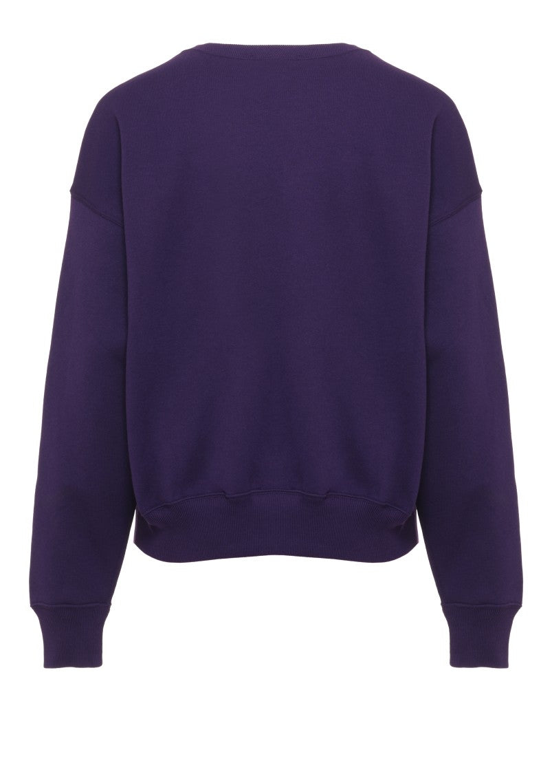 Polo Ralph Lauren Purple Green Embroidered Pony Cotton Hoodie